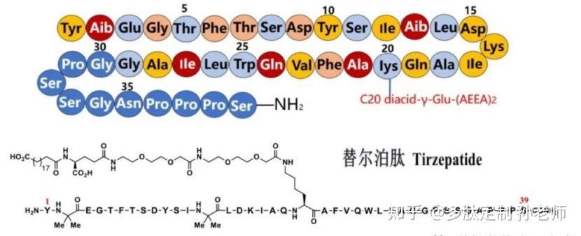 替尔泊肽（Tirzepatide）