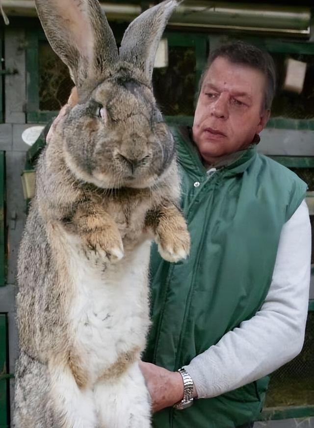 生物入侵有多可怕