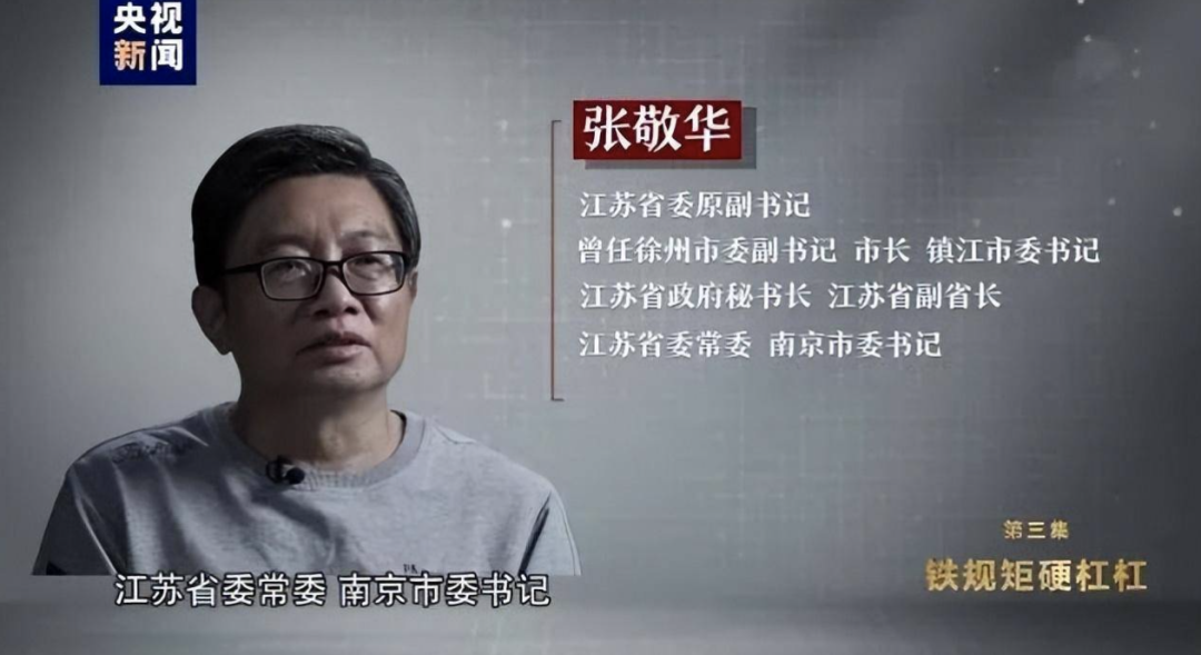 张敬华的南京往事:权力,欲望与一座城的沉浮录