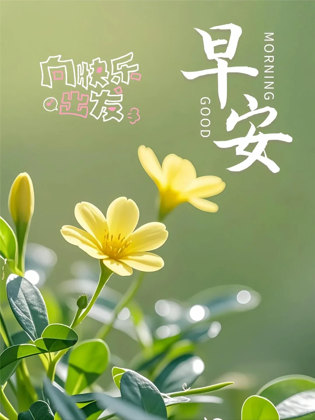 早上好问候语每日更新,祝福语短句精选图片,伴随每一天