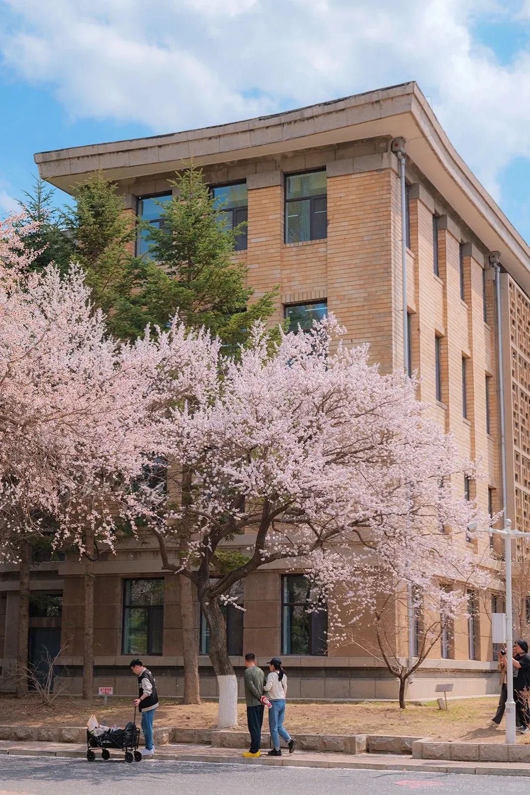 吉林大学第十届杏花文化节,本周日开幕!