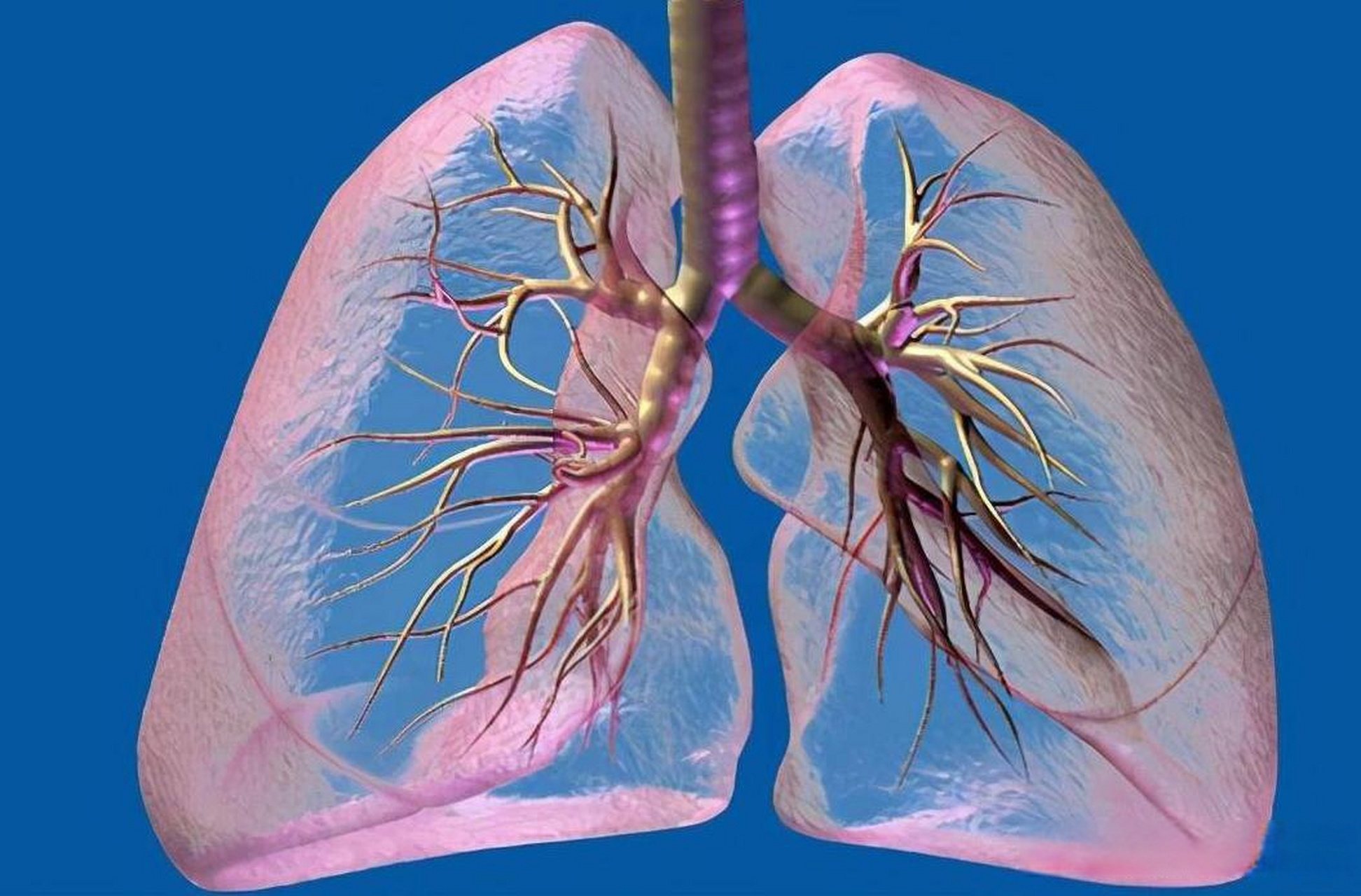 调查研究新发现:男性突然戒烟后,肺部竟然会发生这5种意想不到的变化!