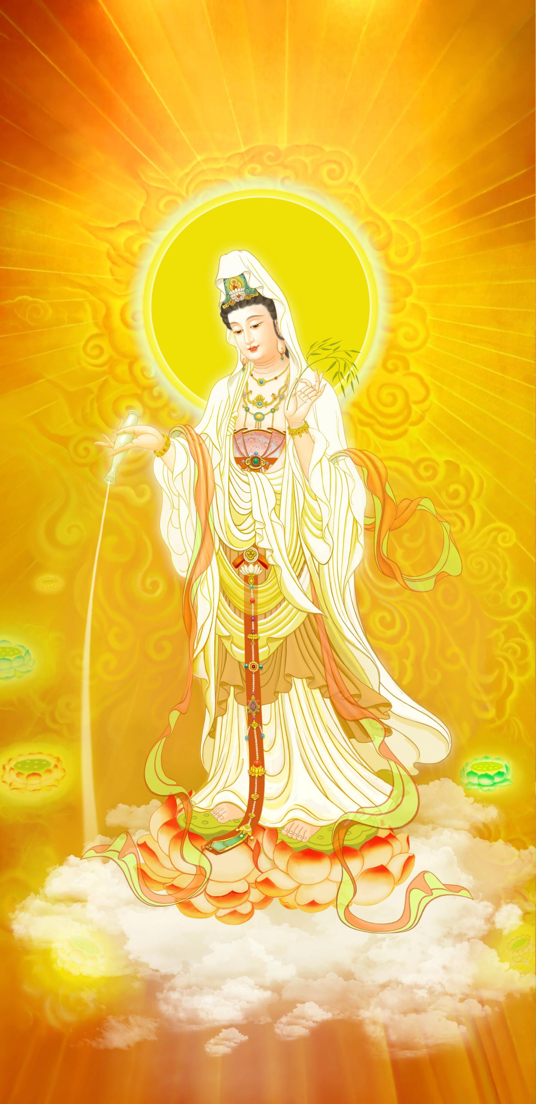 生育减少,轮回法则大变动!观音菩萨预言,众生将面临何种结局?