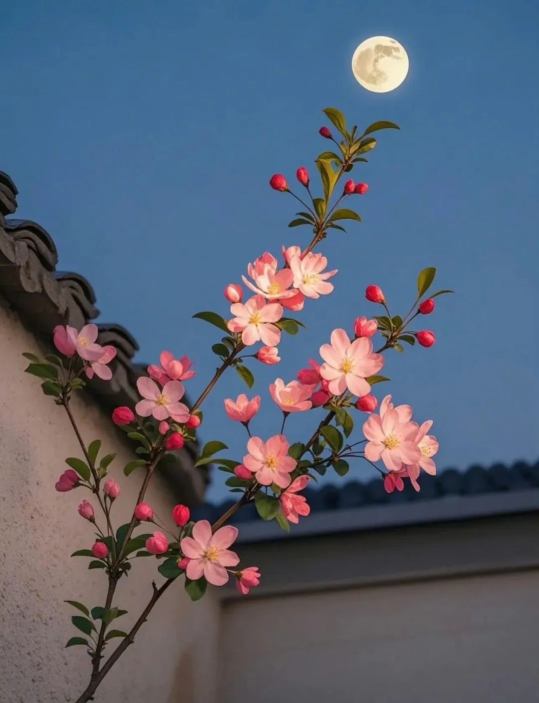 5月1号一定要这样发圈太惊艳了