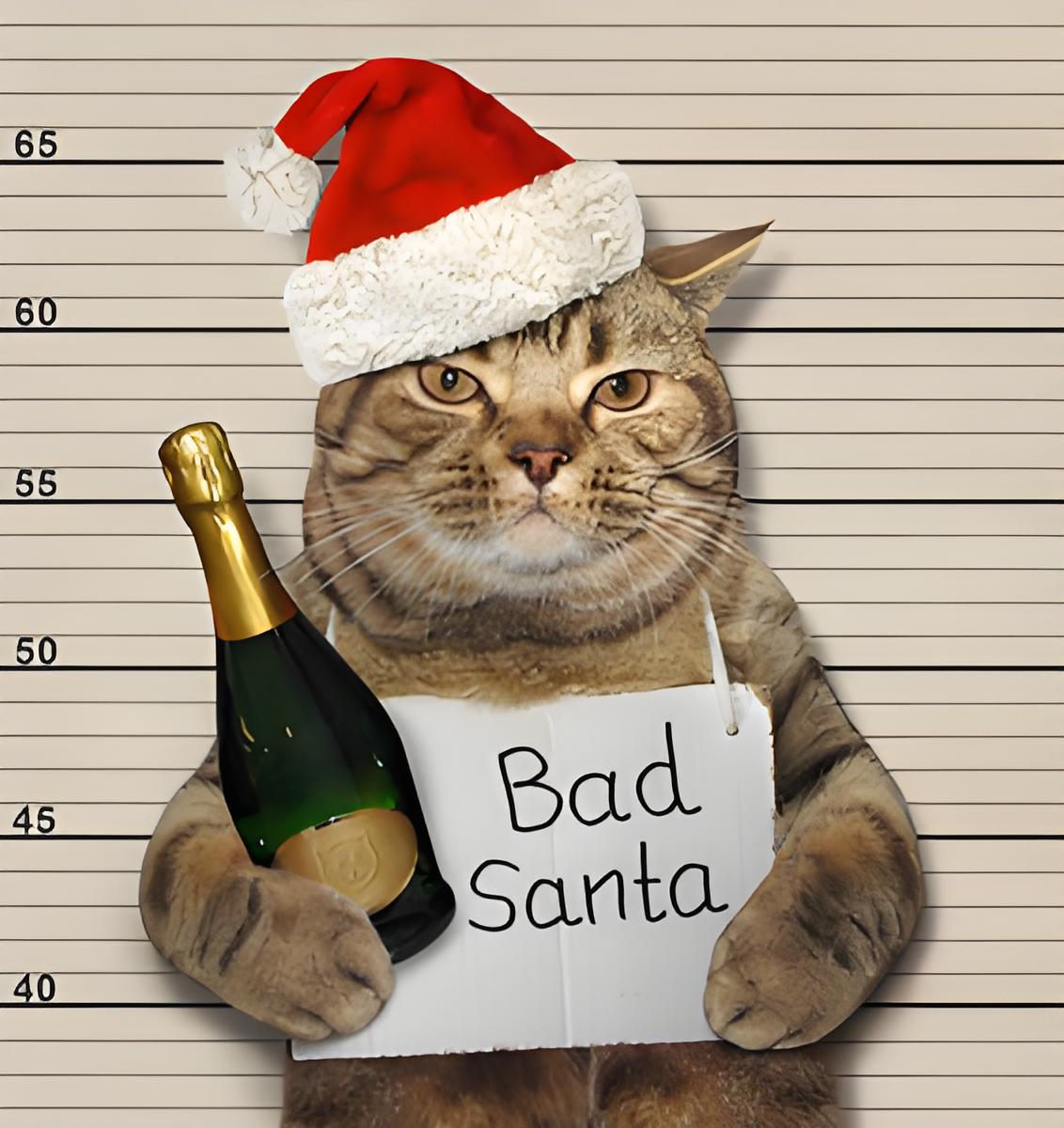 猫咪"贩毒"当场被捕,被判30年?网友:完了,你家娃不能考公了