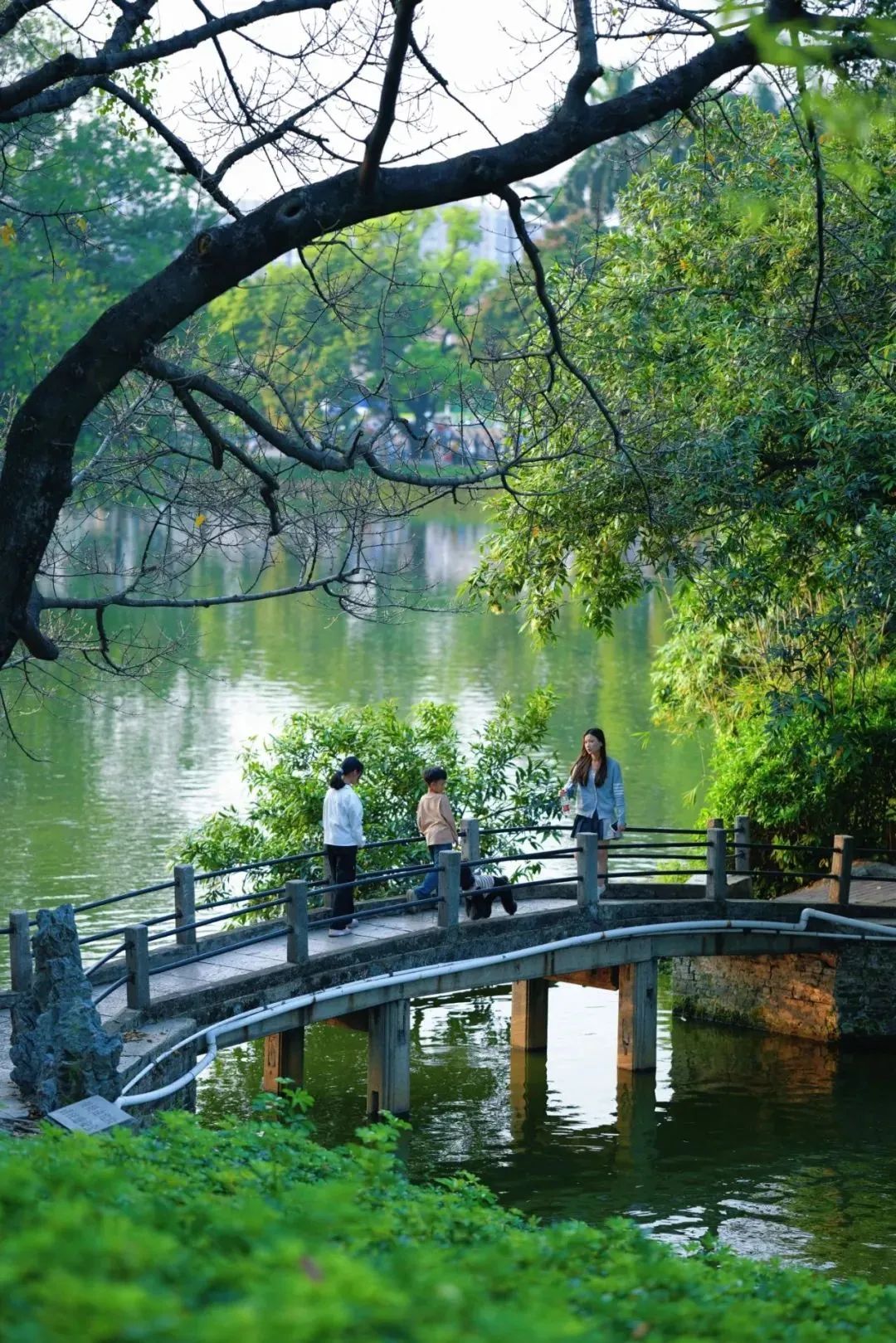 中山公园春花烂漫盛开,红的,黄的,紫的,为这份绿意增添了几分俏皮