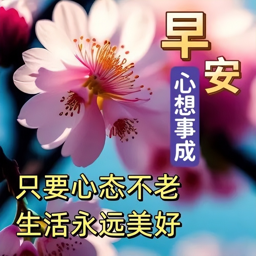 让人开心的早安语发朋友圈(开心早安语录适合发朋友圈早安的句子)
