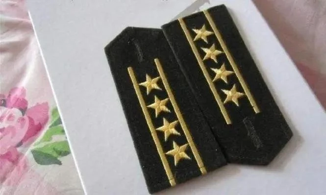 袖章条是软的还是金织带吴敬中军衔总后军需所肩章正战区级别一览表