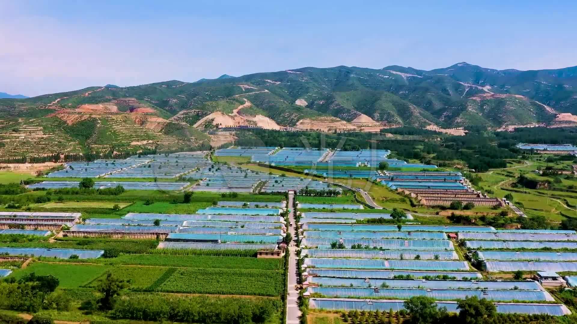 关于未来10大暴利种植工业辣椒的信息