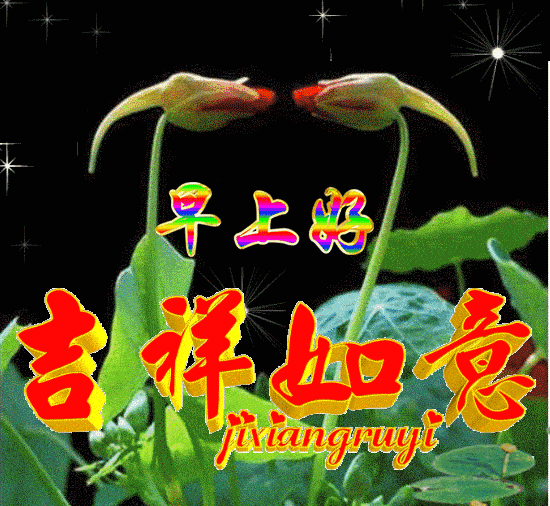 14张特漂亮的早上好动态祝福图,微信就是好,天天能问早