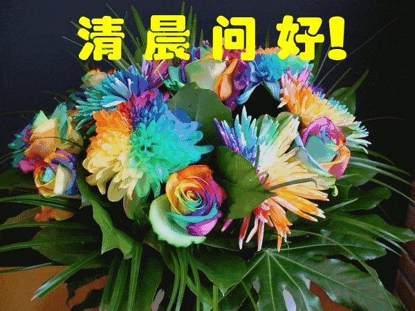 14张特漂亮的早上好动态祝福图,微信就是好,天天能问早