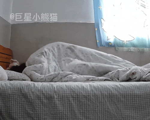 500_400gif 动态图 动图