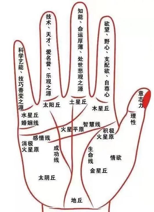 夜光菩萨指点:手掌纹路有三种,其中一纹路预示以后"福运亨通"