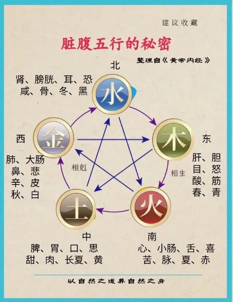 五行、五脏六腑、五色五味最全养生对照表