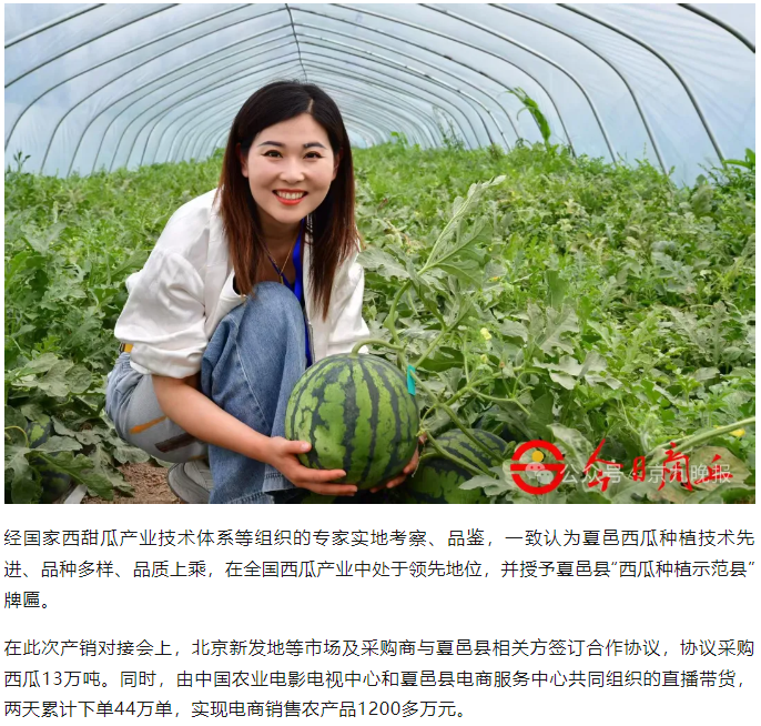吃瓜群众,商丘一地18万亩西瓜集中上市