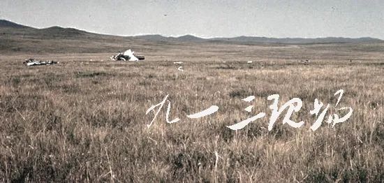 :飞机坠毁在荒郊野岭,机上8男1女,无一生还