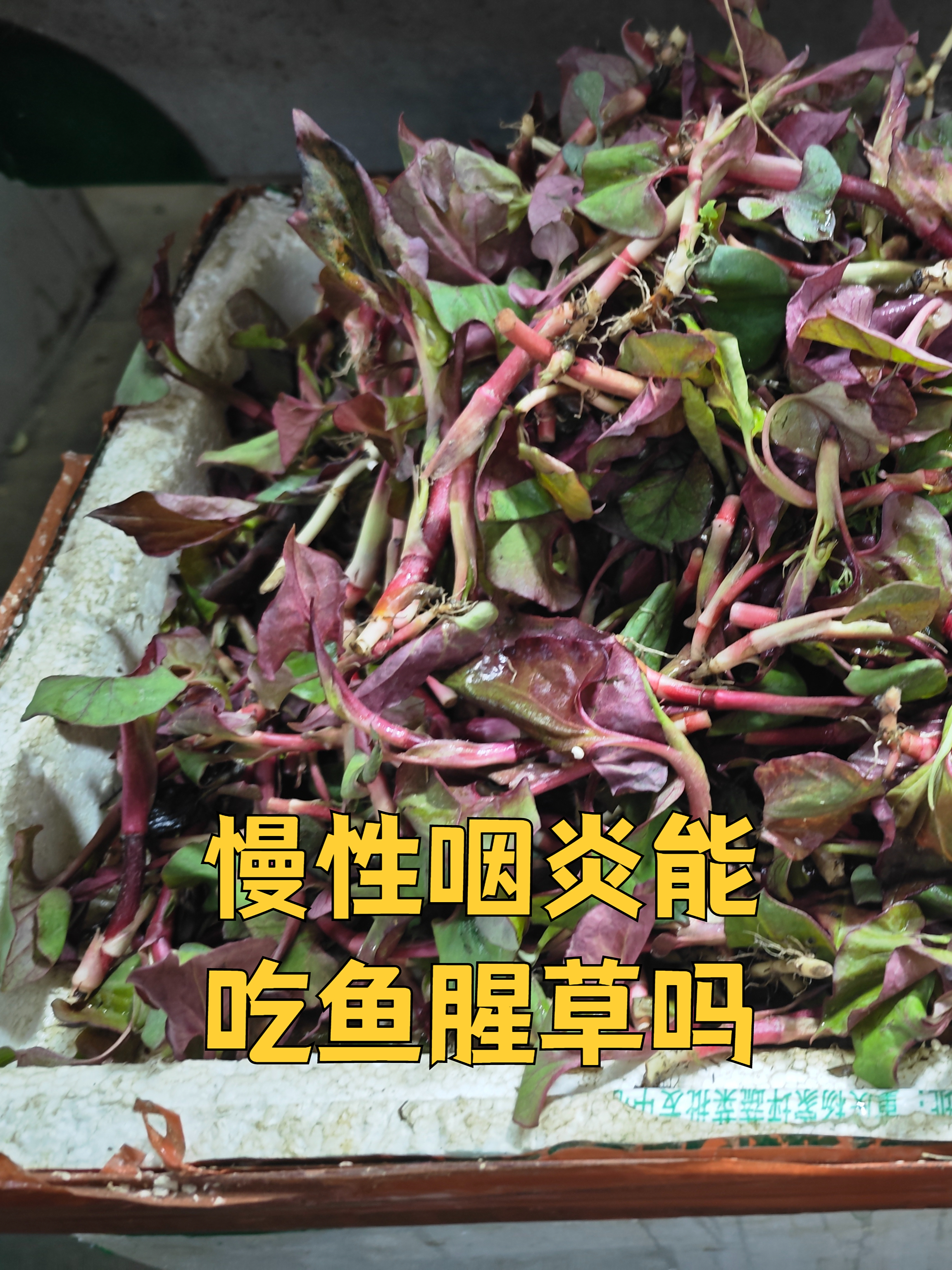 咽炎不能吃哪些东西