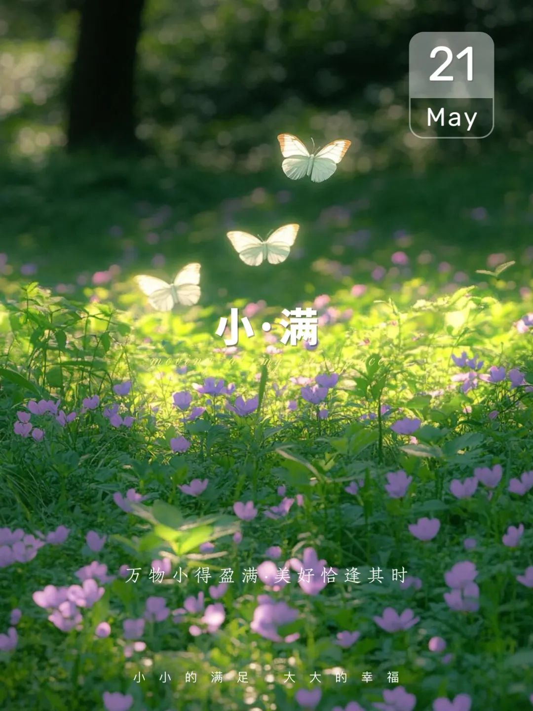 5月21日小满朋友圈就这样发