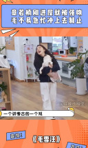 章若楠刚进屋就被强吻，毛不易急忙冲上去制止，太吓人丨毛雪汪