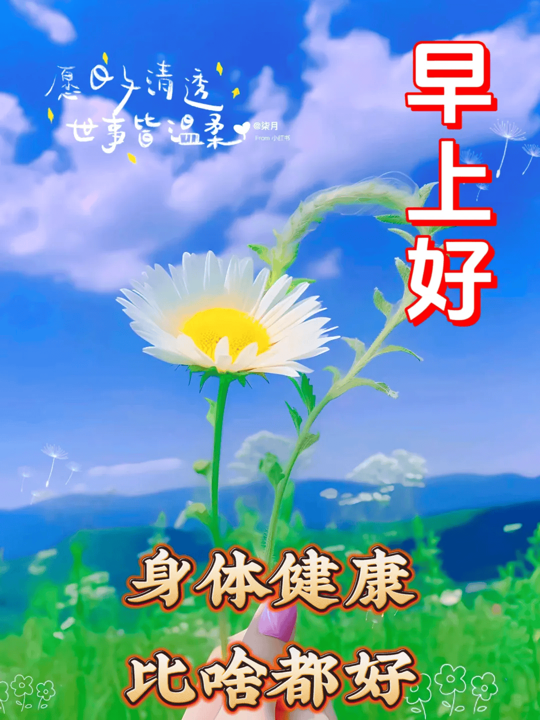 5.24日早上好暖心短句18张早安图片,相互挂念暖心田,彼此祝福!