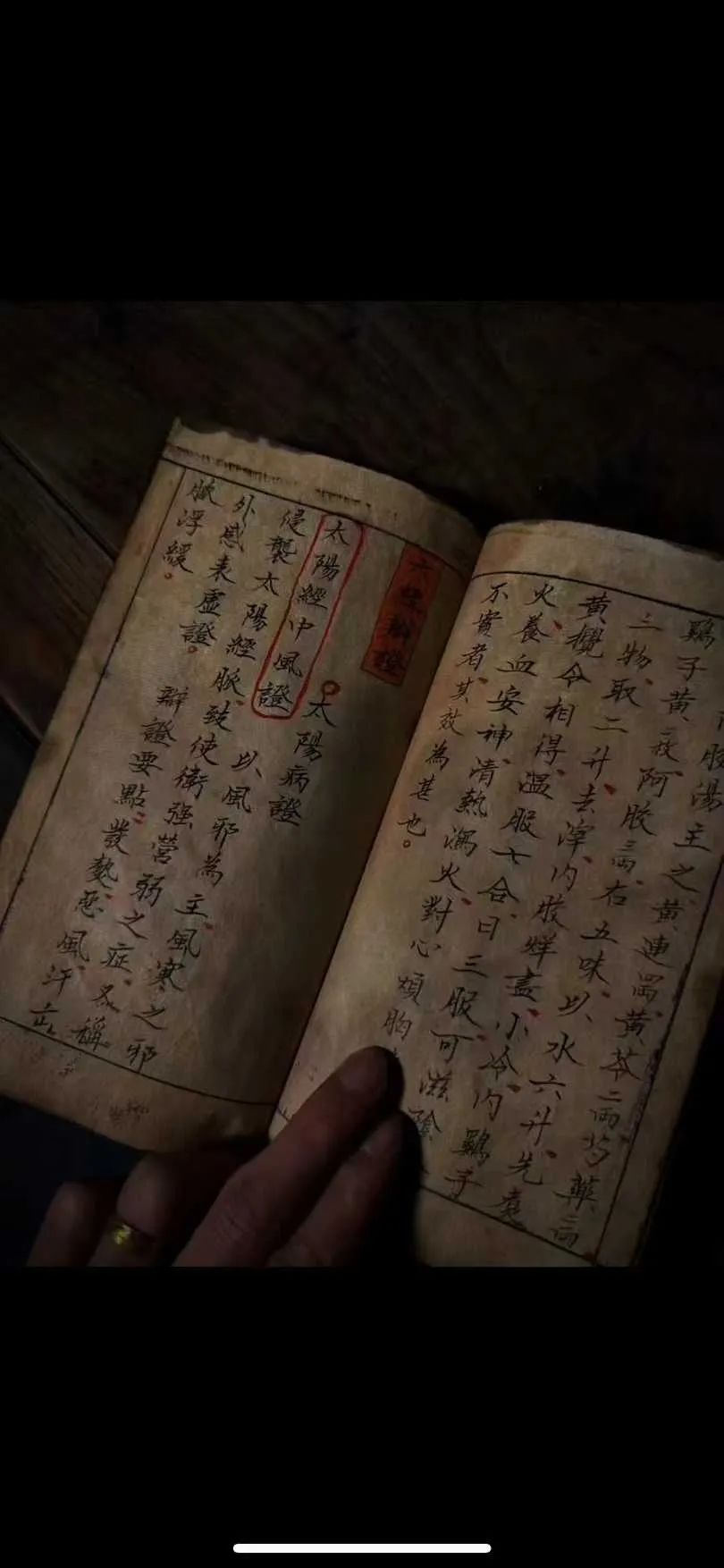 《道医秘本》13代名医精华全解析!