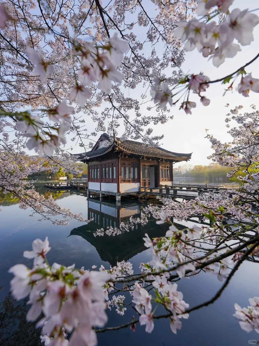苏杭旅游攻略必玩的景点(苏杭旅游攻略必玩的景点图片)