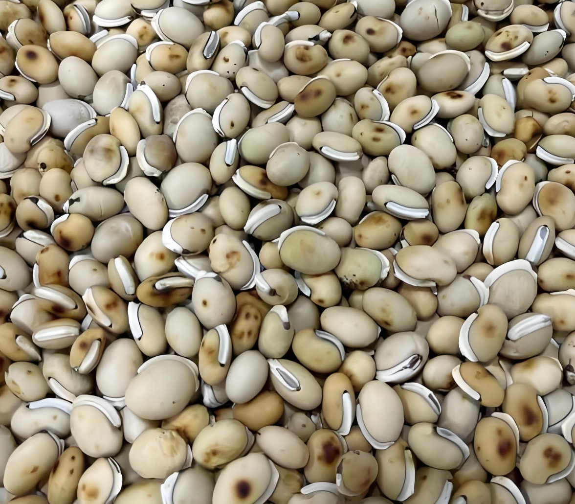 白扁豆长啥样?从外形到品种全解析,教你轻松分辨不踩坑