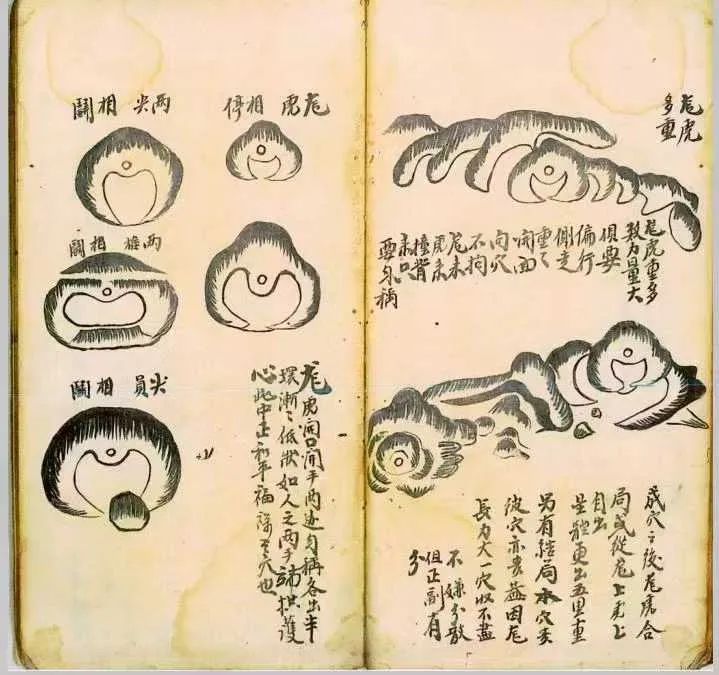 47 页秘典图解 28 种龙虎贵砂标准