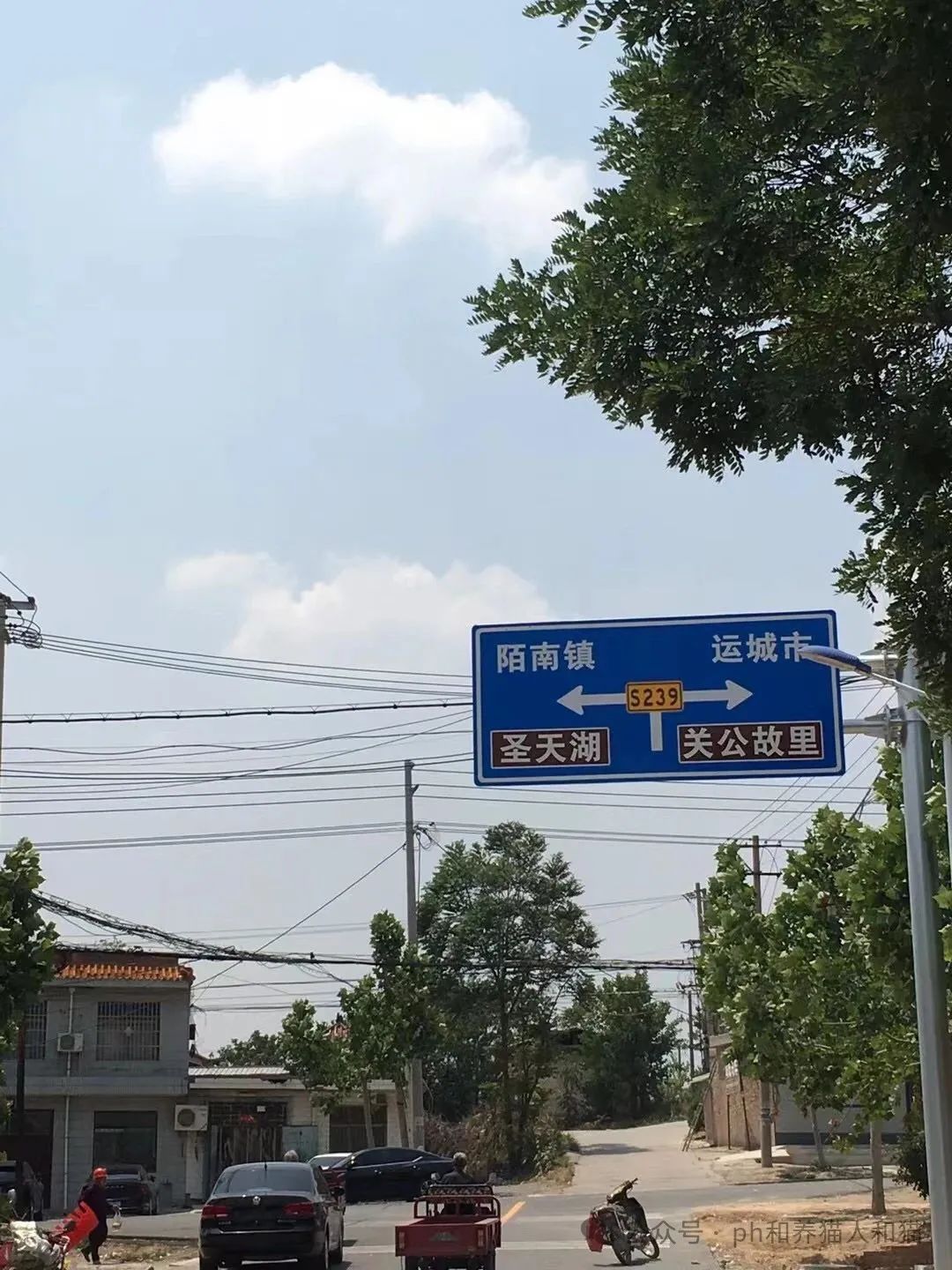 有的死亡变成了明灯有的死亡变成了粽子