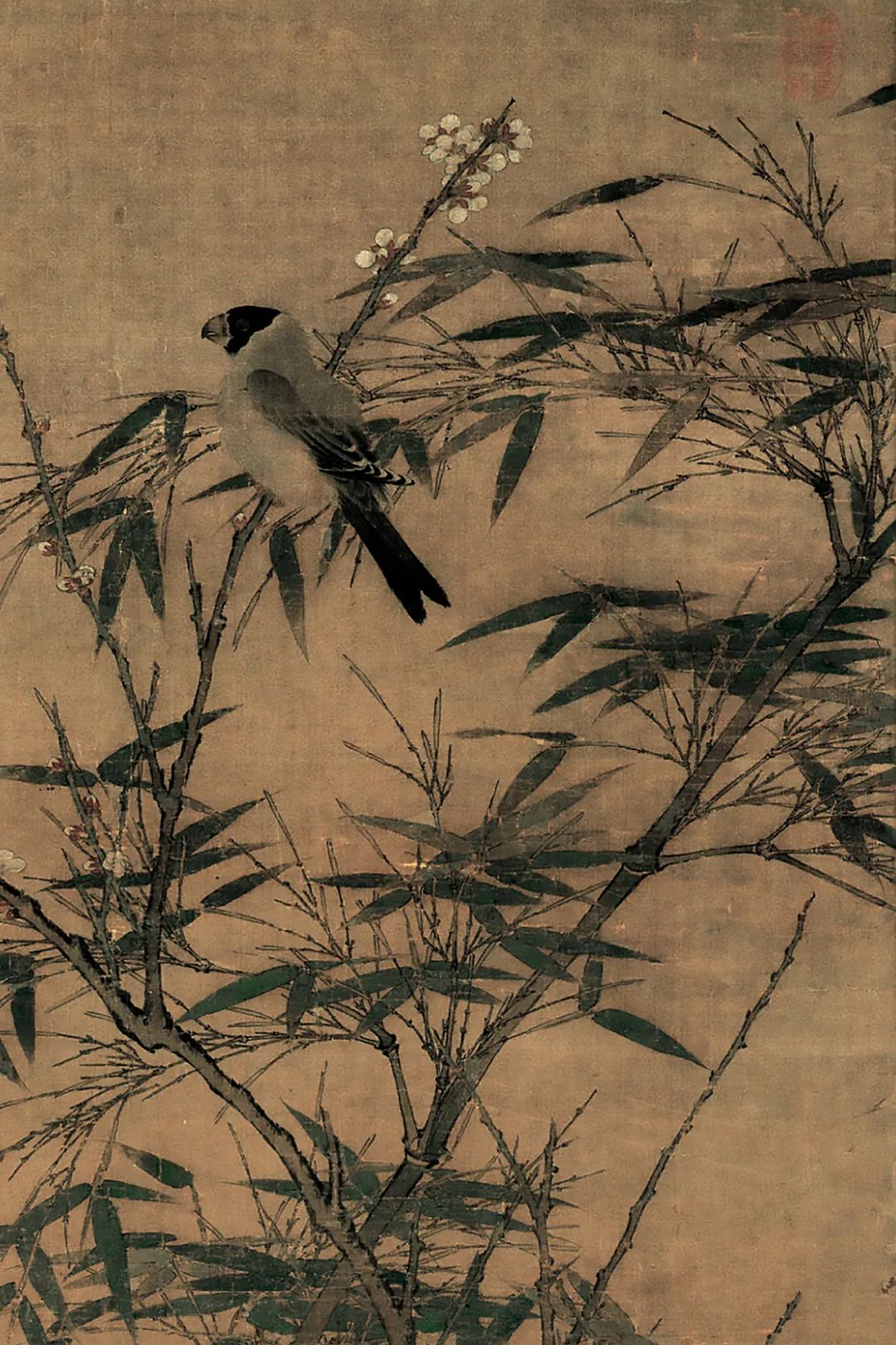宋 佚名《梅竹聚禽图》
