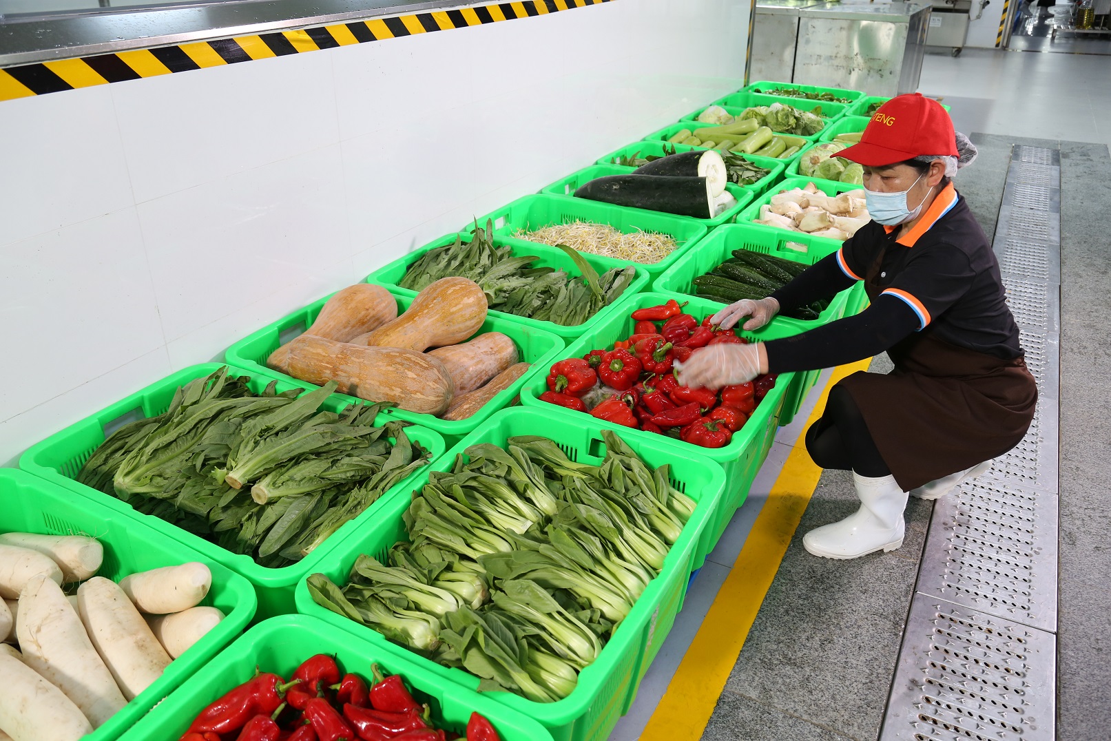 海南安菜送：让新鲜食材从产地直达家庭餐桌