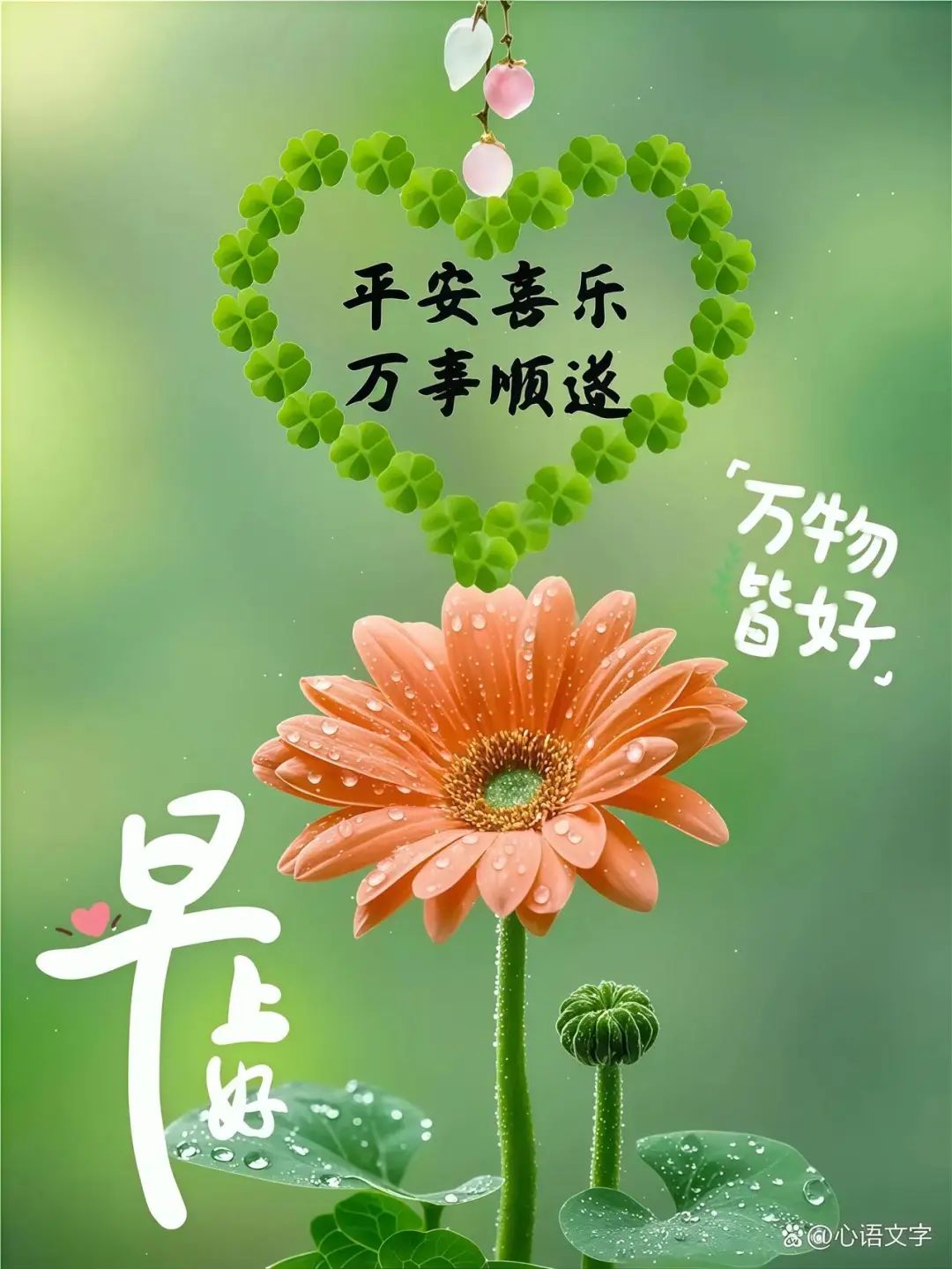 33张早安早上好唯美图片:晨光吉祥,新的一天,随遇,随喜,随安
