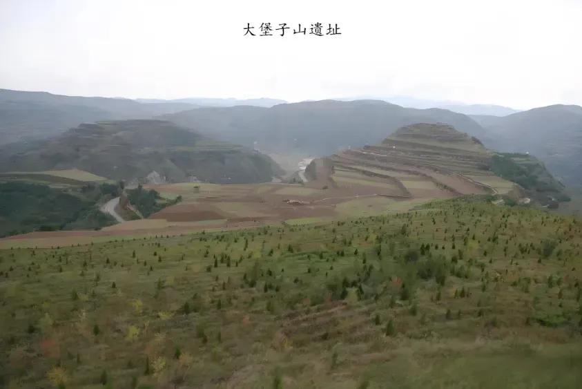 1993年大堡子山盗墓风云:秦公大墓一夜间来了2400多名盗墓贼!