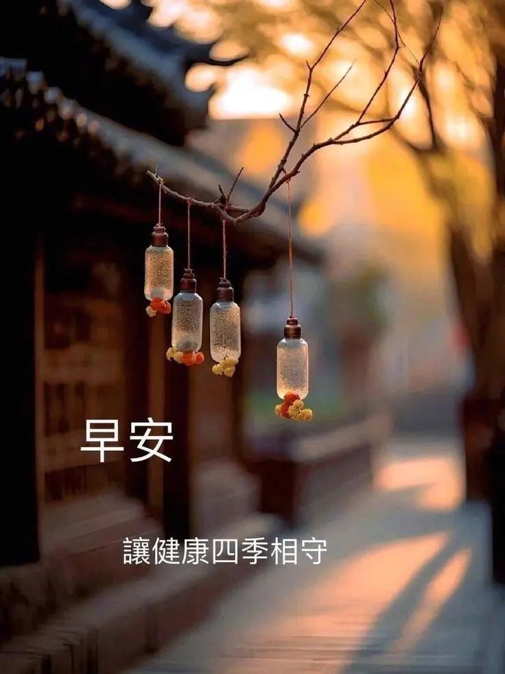 33张早安早上好唯美图片:晨光吉祥,新的一天,随遇,随喜,随安