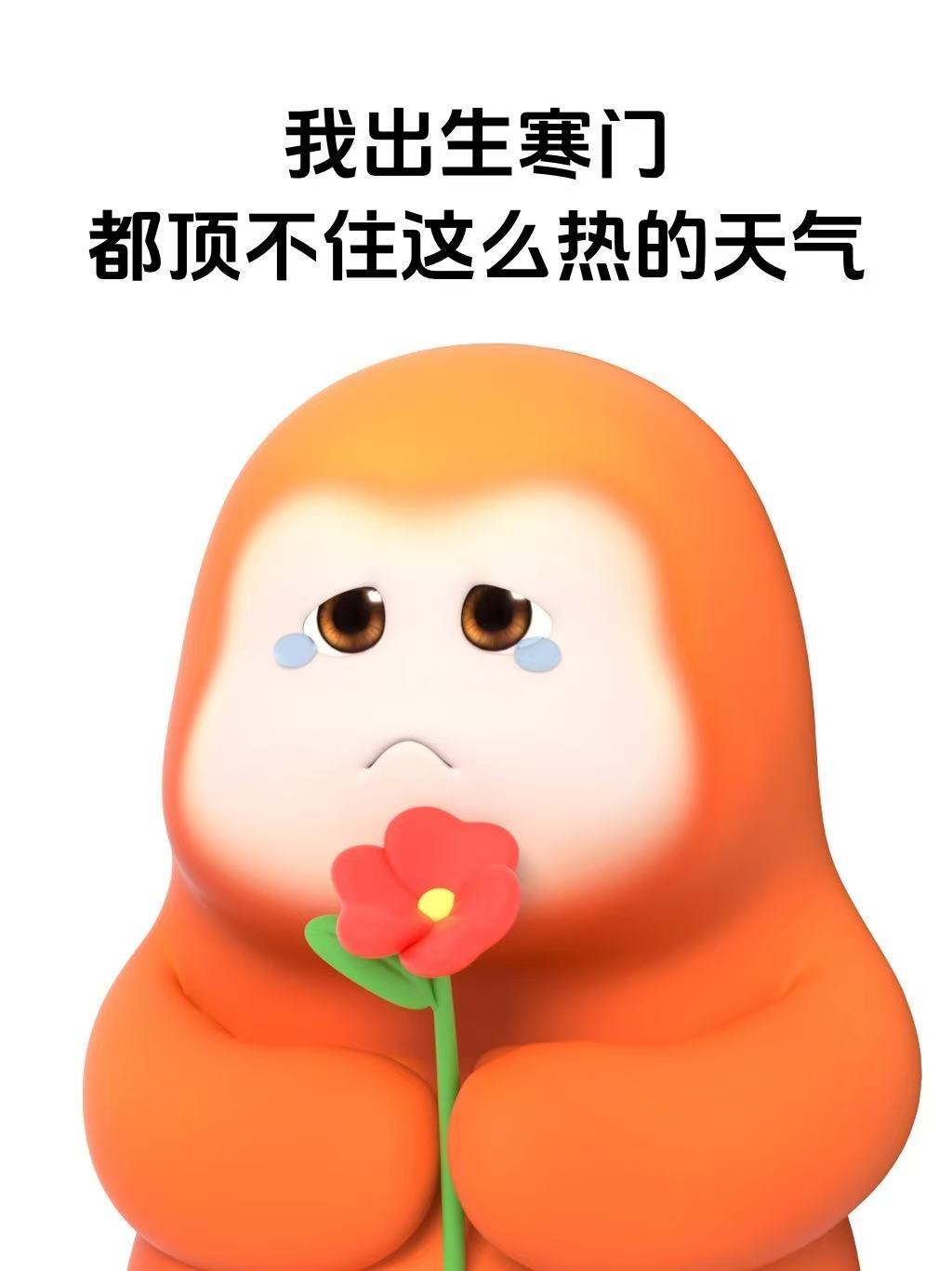 天气太热了这样发,去笑死你的朋友圈