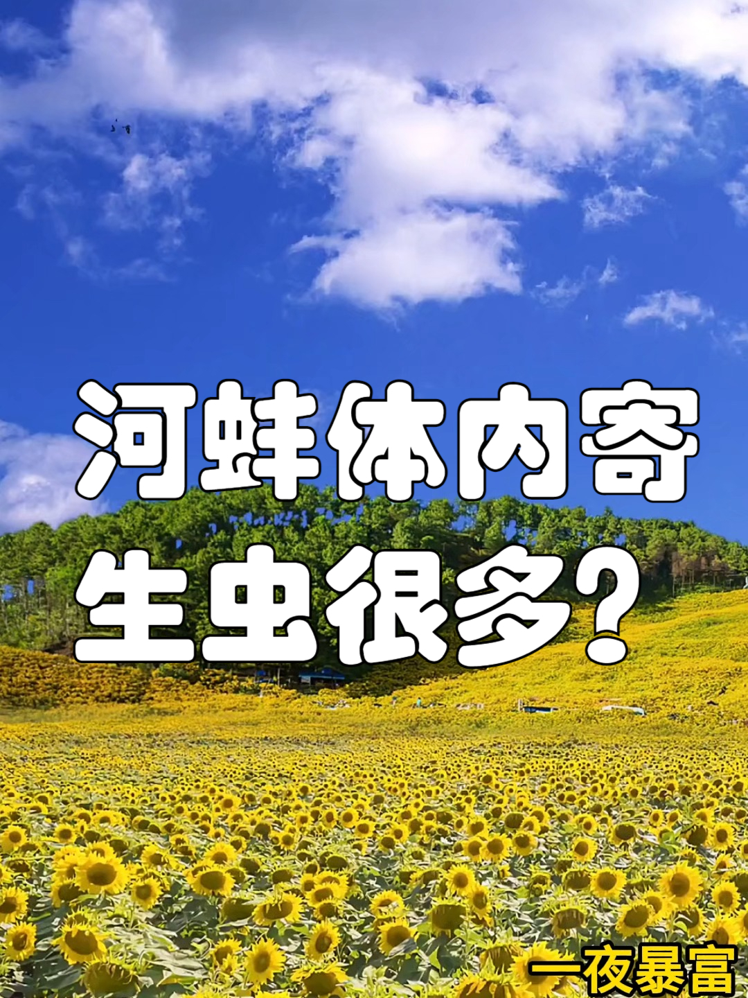 河蚌体内寄生虫很多?