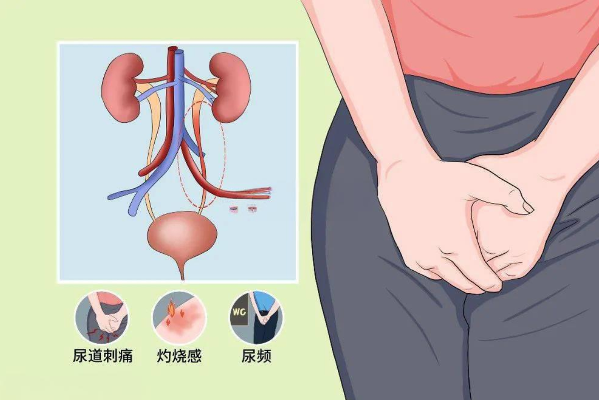 Nafarelin uses | Shaanxi BLOOM Tech Co., Ltd