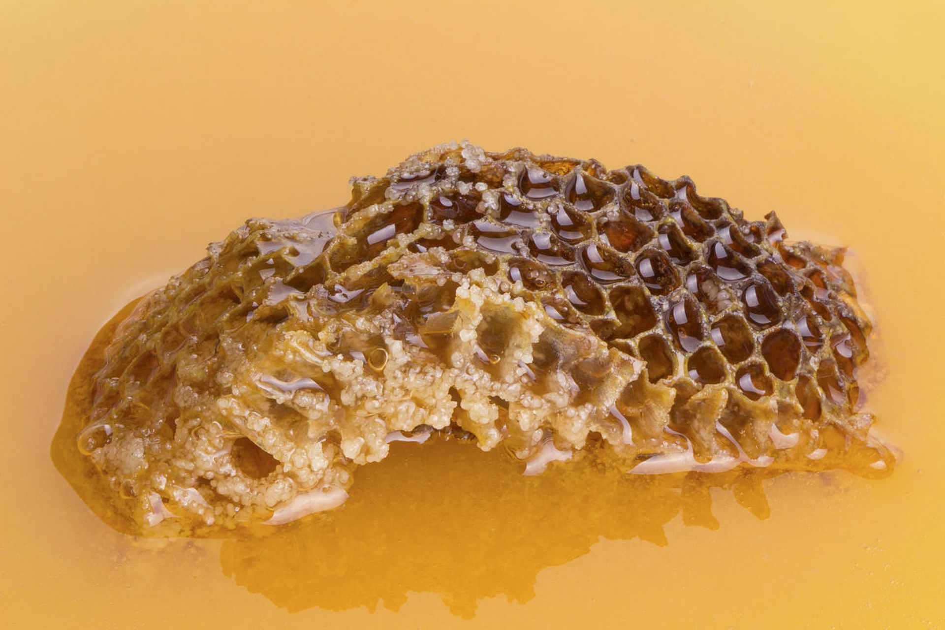 蜂胶真的能治糖尿病吗(蜂胶能治糖尿病吗,什么蜂胶好)