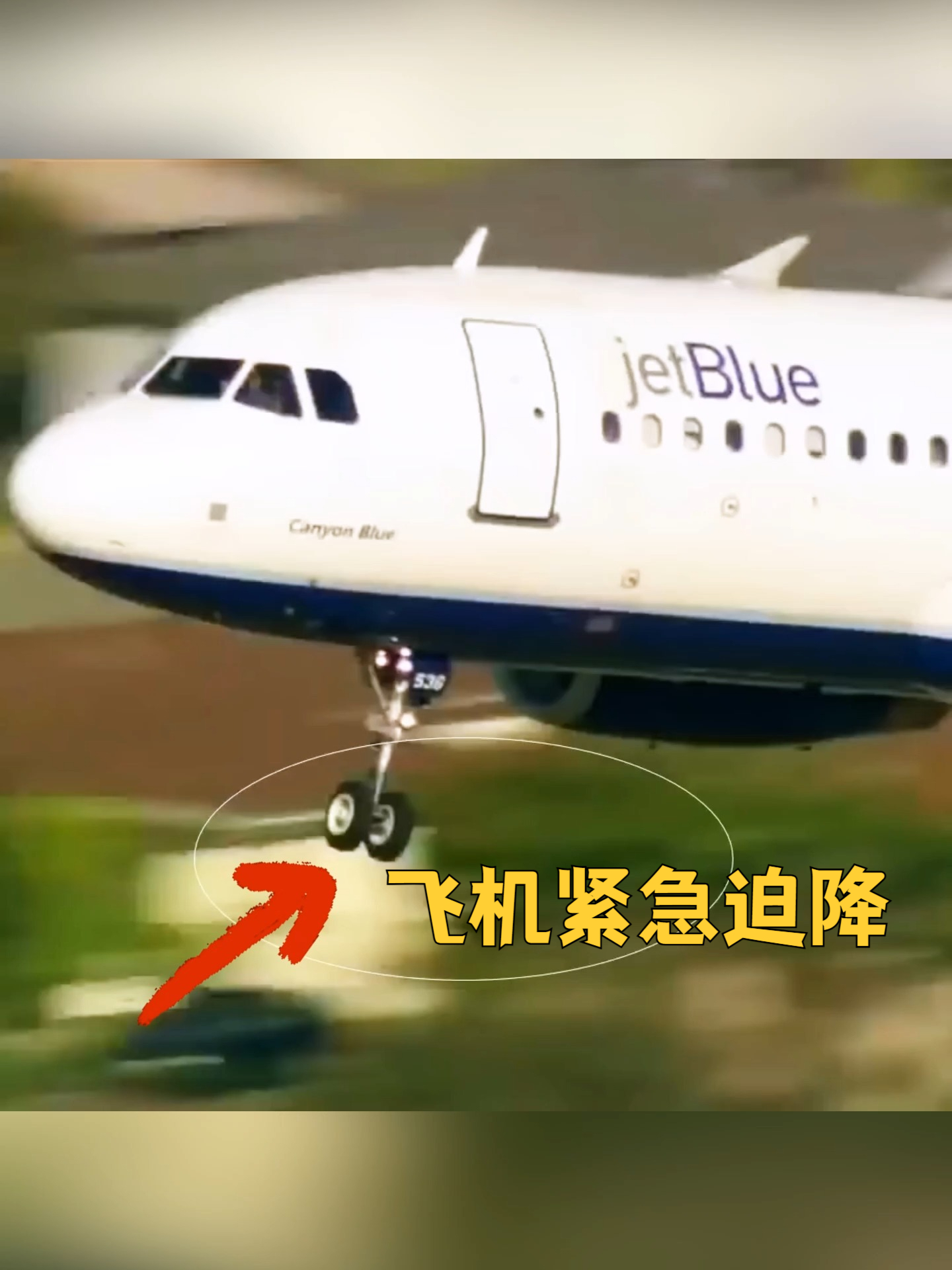 最扎心的紧急迫降:机上所有的乘客都目睹了专家对自己坠毁的分析