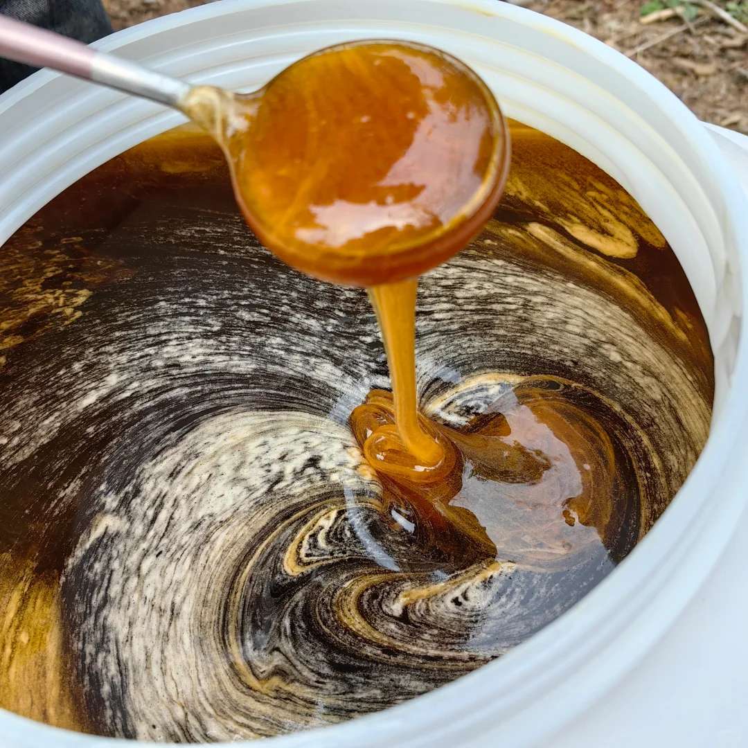 梦到了蜂蜜(梦到蜂蜜追我)