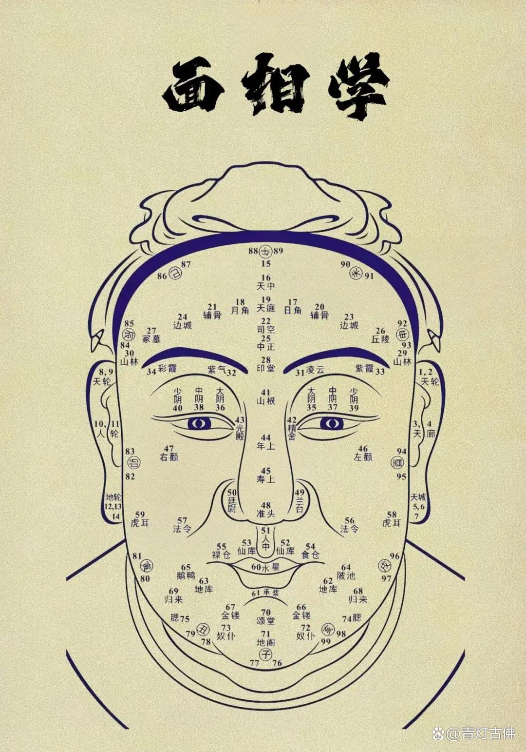 红痣旺财黑痣败运?痣相大师权威解密:面部痣相与财运的深层关联