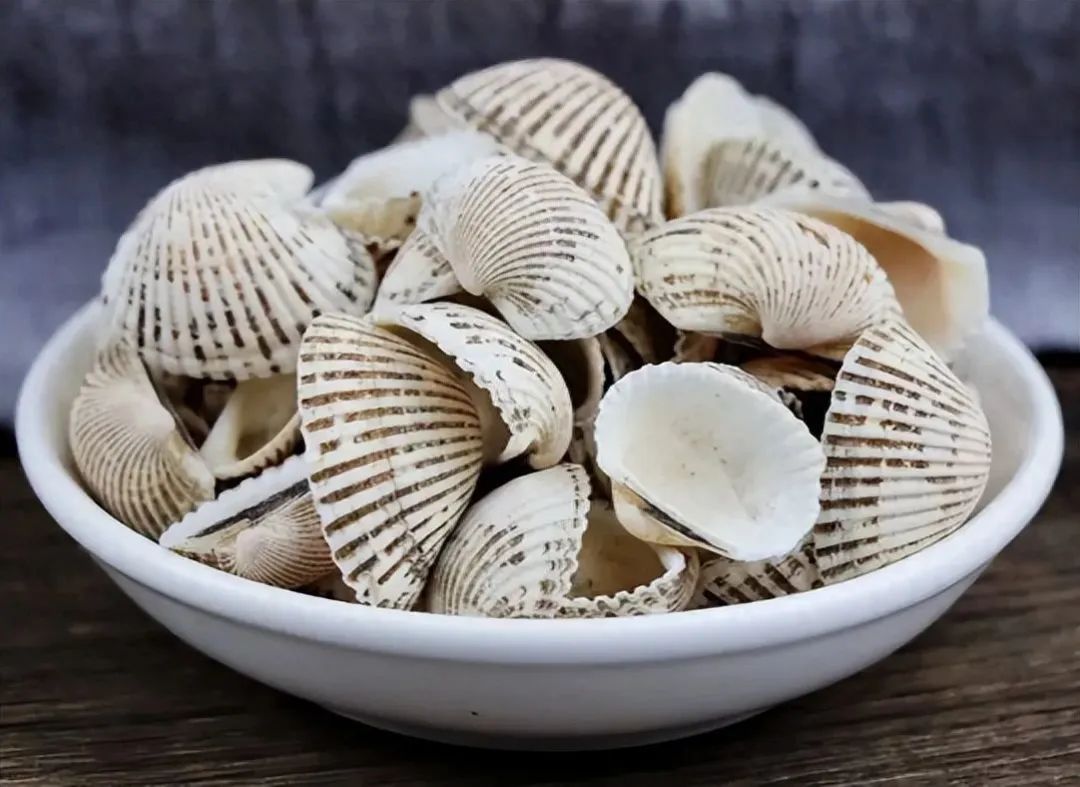 带你识别中药材瓦楞子