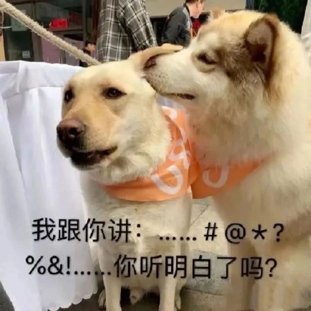 聊天必备表情包190张