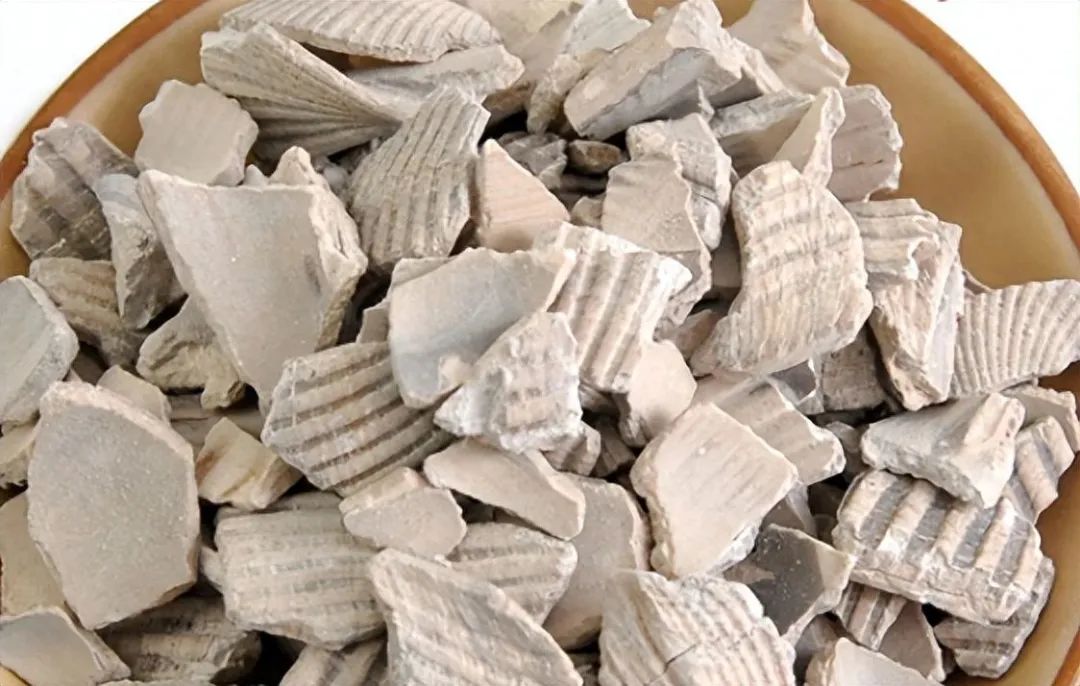 带你识别中药材瓦楞子