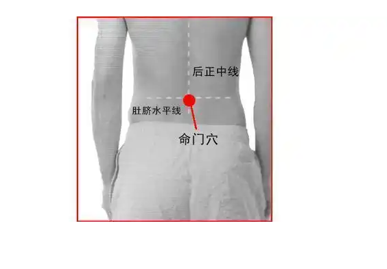阳虚,关元穴 命门!