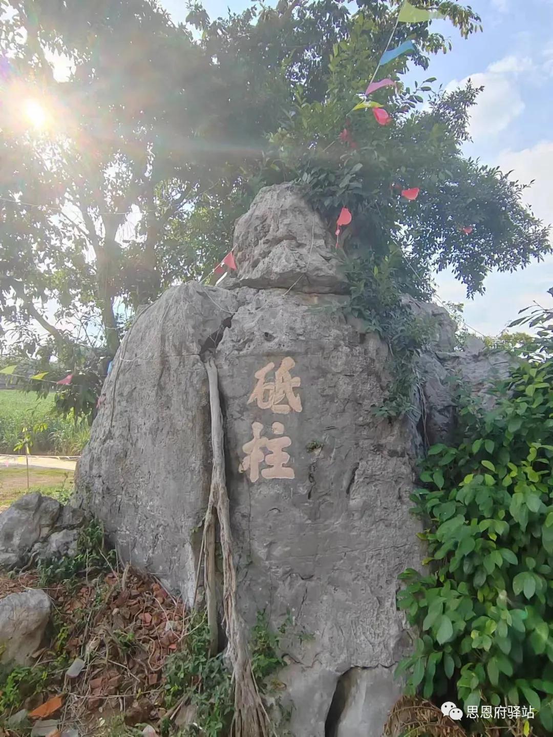 武鸣陆斡镇覃李村玉印山