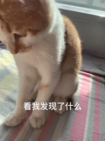 400_534竖版 竖屏gif 动态图 动图