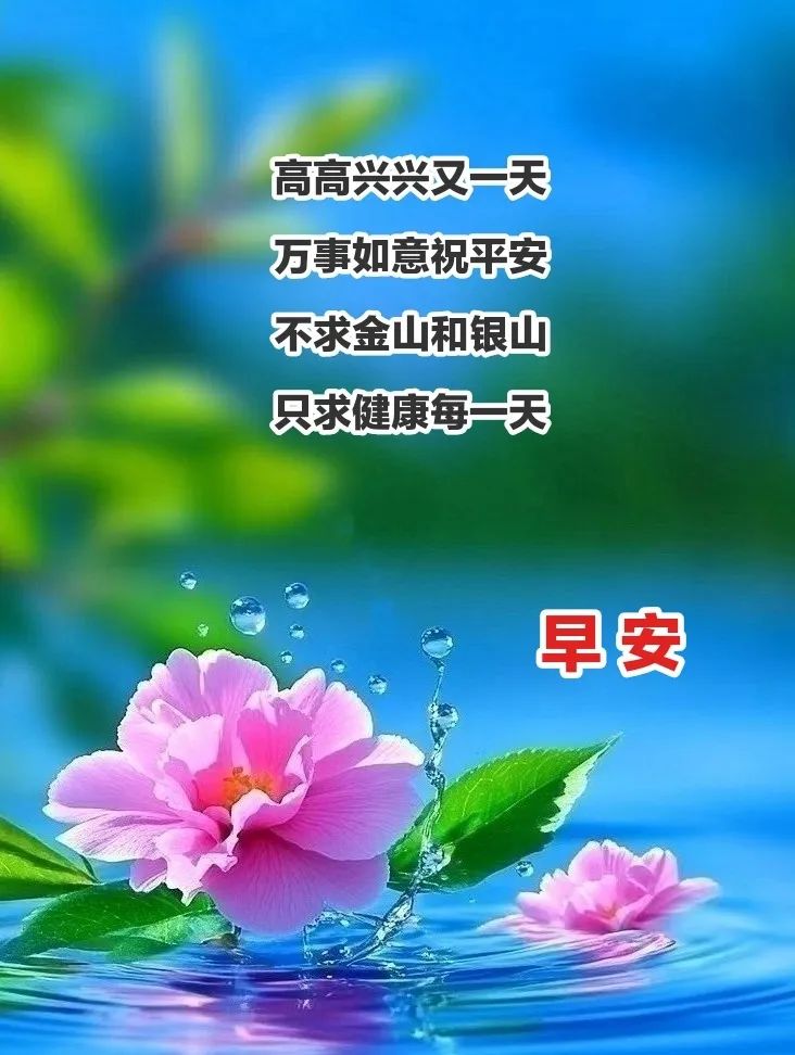 一天一句暖心话问候朋友简单句子(一天一句暖心话问候朋友简单句子图片)