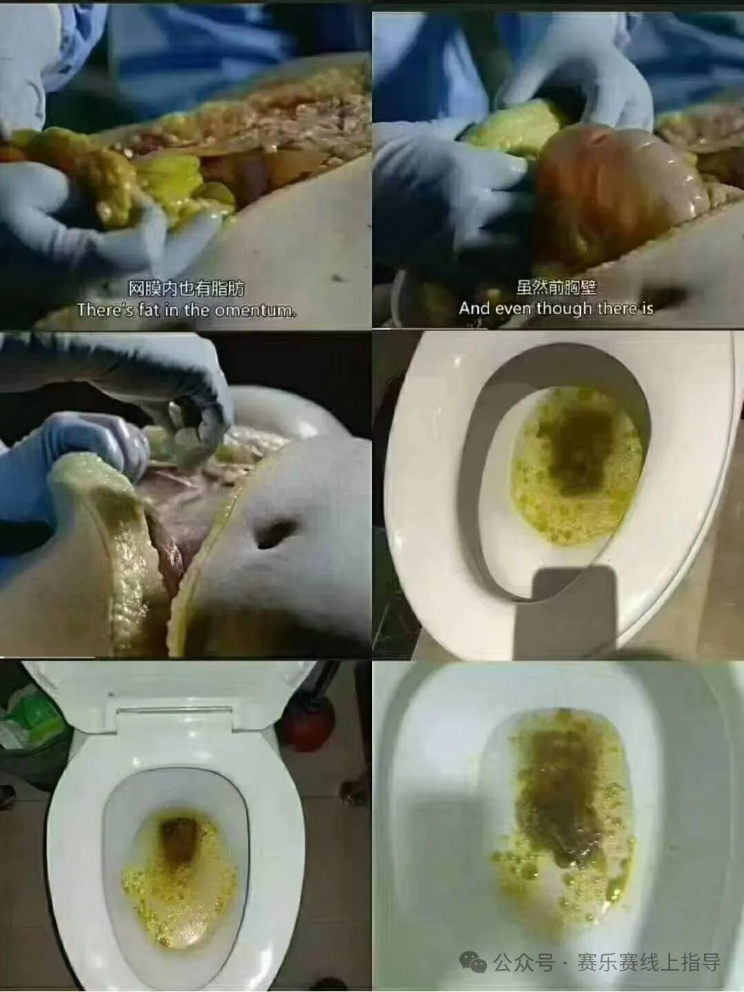 使用赛乐赛后不排油就是没效果?