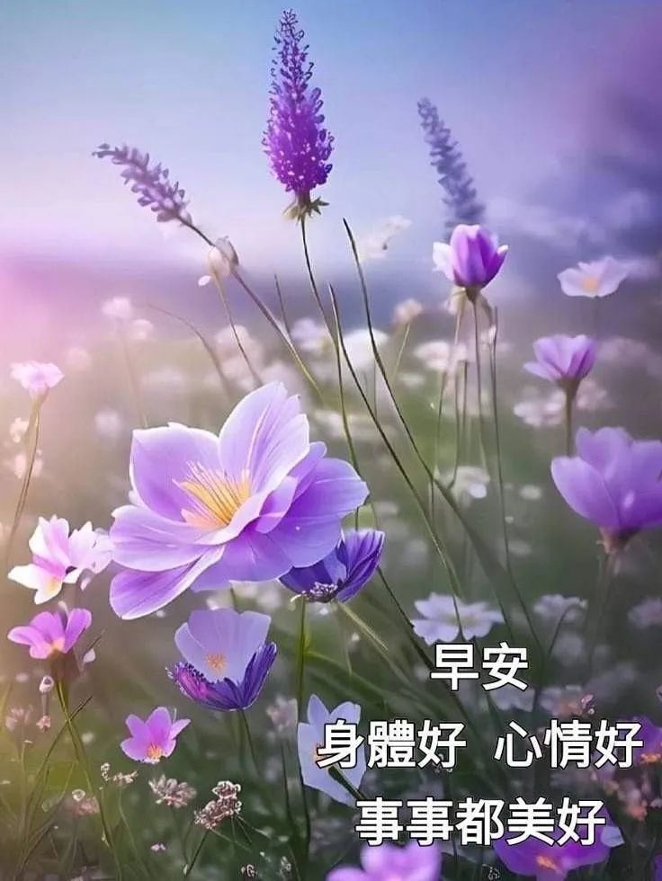 早安最新图片14张,早上好最新图片大全最美温馨,一早送祝福